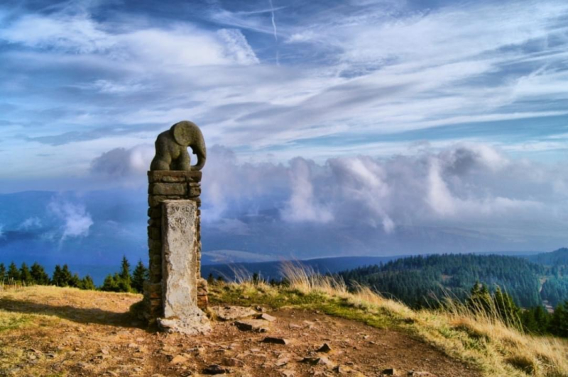 Národní přírodní rezervace Králický Sněžník