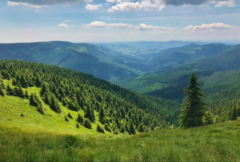 Národní přírodní rezervace Králický Sněžník